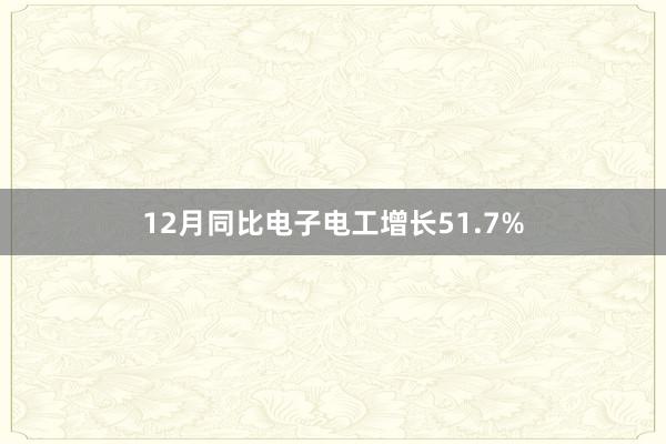 12月同比电子电工增长51.7%